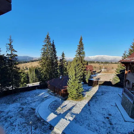 Grey Goose Chalet Jablunyzja