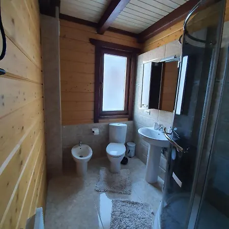 Grey Goose * Yablunytsya