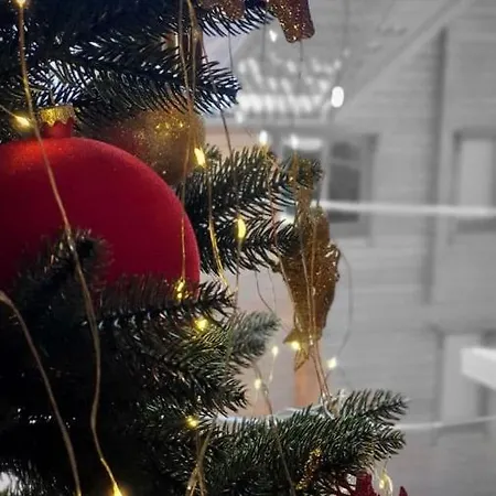 Grey Goose Yablunytsya